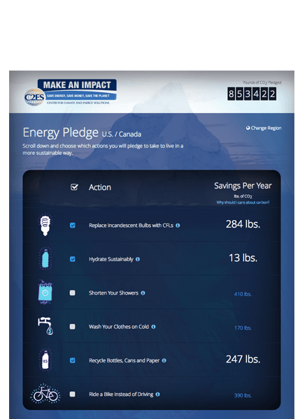 Responsive iPad Tablet View of Global Pledge Form